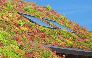 Lower Kilburn living roof systems