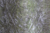 Lower Kilburn fibreglass roof work